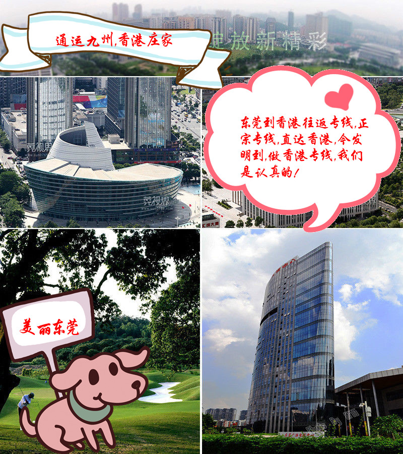 東莞到香港物流發(fā)貨注意事項(xiàng),2022年已更新,東莞到香港貨運(yùn)