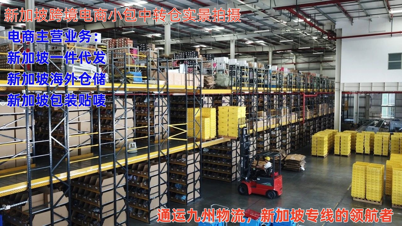 潮州到新加坡樟宜機(jī)場(chǎng)空運(yùn)，7天直達(dá)，潮州海運(yùn)到新加坡，15天到門